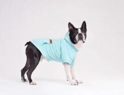 AMIPLAY Sweat-shirt à Capuche Texas Rouge 40cm -Magasin De Mode Pour Animaux Et Chiens fre pl AMIPLAY Sweat shirt a capuche Texas rouge 40cm 28487 3