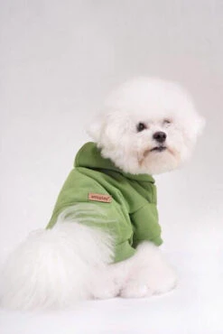 AMIPLAY Sweat-shirt à Capuche Texas Rouge 40cm -Magasin De Mode Pour Animaux Et Chiens fre pl AMIPLAY Sweat shirt a capuche Texas rouge 40cm 28487 5