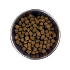 Barking Heads Bœuf Waggington Pour Tous Les Chiens Adultes 12kg -Magasin De Mode Pour Animaux Et Chiens fre pl Barking Heads Boeuf Waggington pour tous les chiens adultes 12kg 28633 3