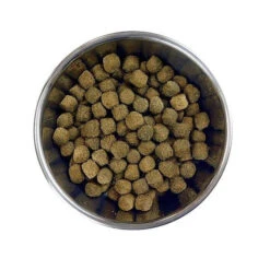 Barking Heads Chop Lickin' Agneau Pour Tous Les Chiens Adultes 12kg -Magasin De Mode Pour Animaux Et Chiens fre pl Barking Heads Chop Lickin Agneau pour tous les chiens adultes 12kg 28619 3