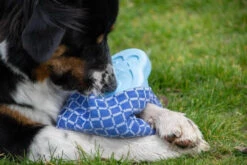 CoolPets Ice PINGWIN Pour Chiens -Magasin De Mode Pour Animaux Et Chiens fre pl CoolPets Ice PINGWIN pour chiens 30501 3