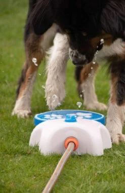 CoolPets SPLASH Fontaine Pour Chien -Magasin De Mode Pour Animaux Et Chiens fre pl CoolPets SPLASH fontaine pour chien 30508 3