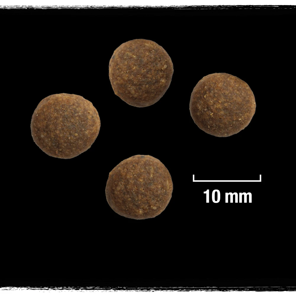 Crave Croquettes Pour Chien à La Dinde Et Au Poulet 2.8kg 3 Crave Croquettes Pour Chien à La Dinde Et Au Poulet 2.8kg – Image 3