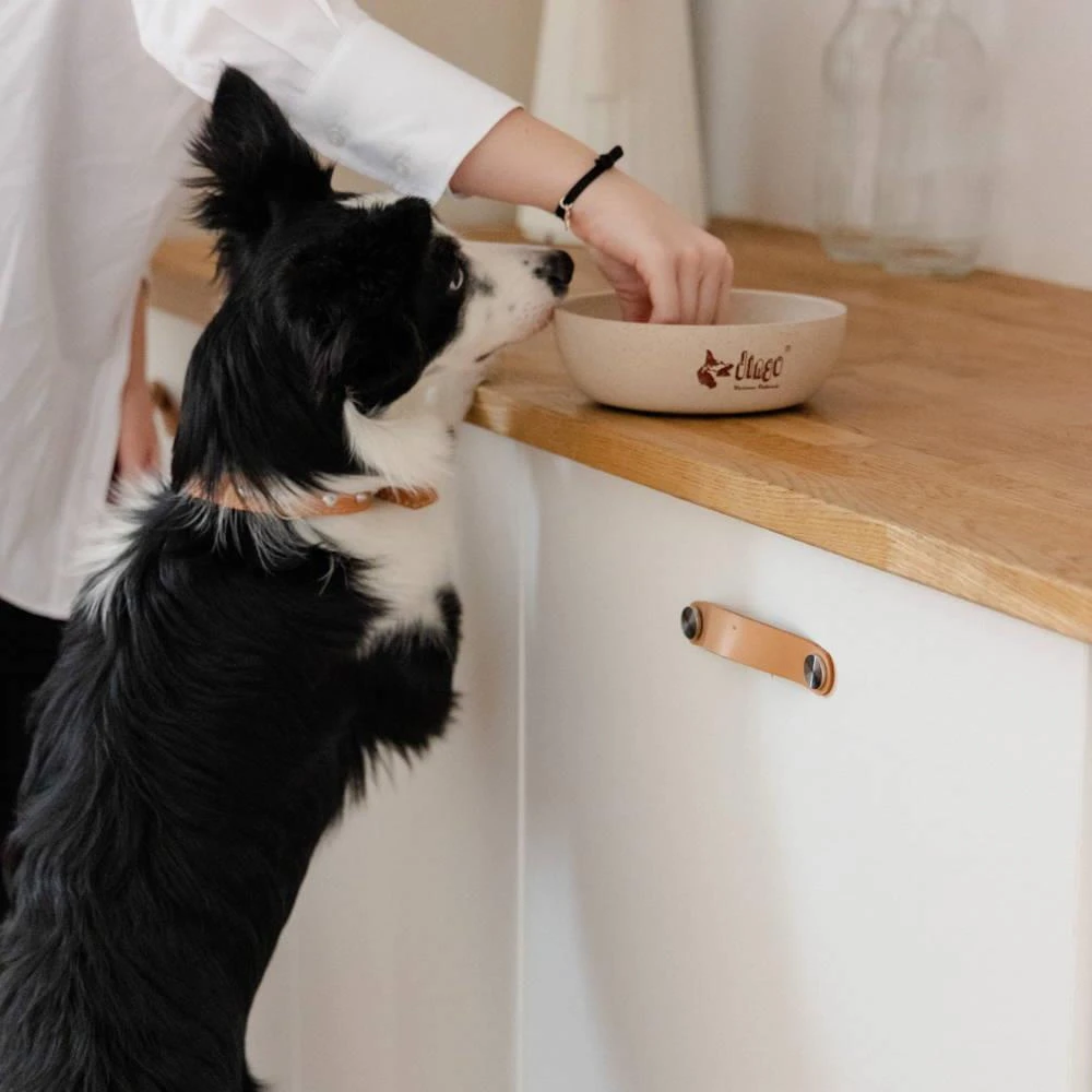 DINGO- Bol Antidérapant En Fibre De Bambou - 1500ml 3 DINGO- Bol Antidérapant En Fibre De Bambou - 1500ml – Image 3