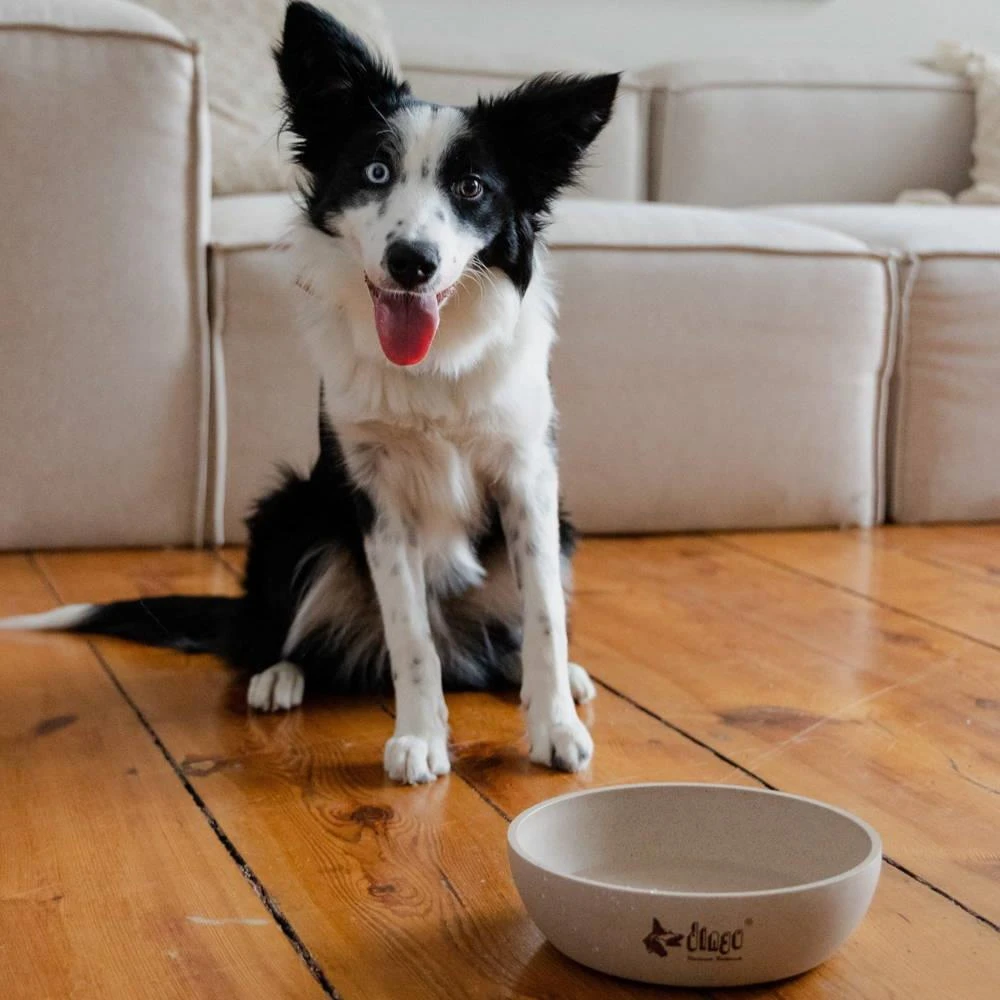 DINGO- Bol Antidérapant En Fibre De Bambou - 1500ml 4 DINGO- Bol Antidérapant En Fibre De Bambou - 1500ml – Image 4