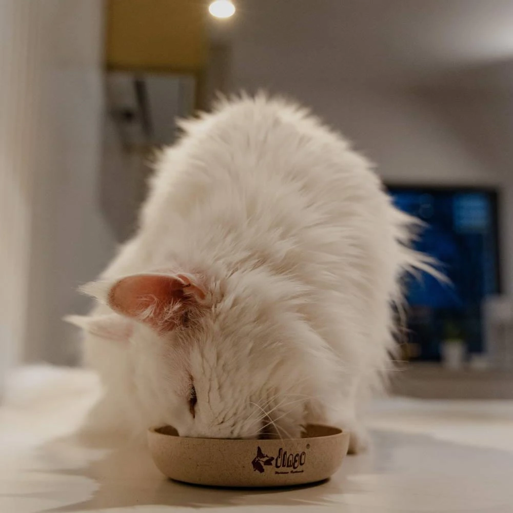 DINGO- Bol Antidérapant En Fibre De Bambou - 1500ml 5 DINGO- Bol Antidérapant En Fibre De Bambou - 1500ml – Image 5