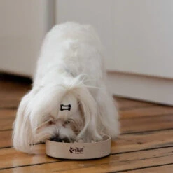 DINGO- Bol Lent En Fibre De Bambou- 800ml -Magasin De Mode Pour Animaux Et Chiens fre pl DINGO bol lent en fibre de bambou 800ml 29822 3