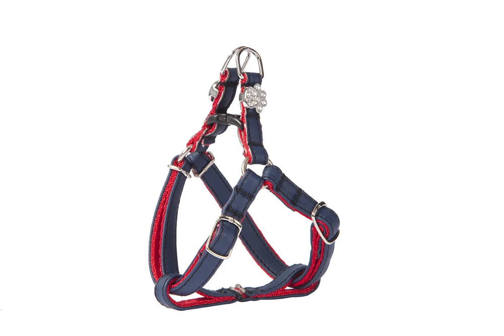 Dingo Harnais New York Pour Petit Chien Bleu Foncé 1 Dingo Harnais New York Pour Petit Chien Bleu Foncé