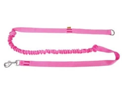 Dingo Laisse Avec Amortisseur Et Poignée Rose 170cm