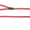 Dingo Laisse Pour Chien Anneau Snake Rouge 170cm