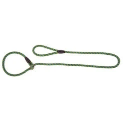 Dingo Laisse Pour Chien En Anneau Magic Vert/Bleu 170cm