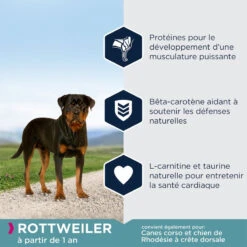EUKANUBA Breed Specific Rottweiler 12kg -Magasin De Mode Pour Animaux Et Chiens fre pl EUKANUBA Breed Specific Rottweiler 12kg 15280 4