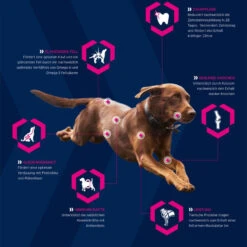 EUKANUBA Breed Specific Rottweiler 12kg+ Surprise Gratuite Pour Votre Chien 10 EUKANUBA Breed Specific Rottweiler 12kg+ Surprise Gratuite Pour Votre Chien -Magasin De Mode Pour Animaux Et Chiens fre pl EUKANUBA Breed Specific Rottweiler 12kg Surprise gratuite pour votre chien 27363 5