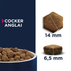 Eukanuba Adult Breed Specific Cocker Spaniel 7,5kg -Magasin De Mode Pour Animaux Et Chiens fre pl Eukanuba Adult Breed Specific Cocker Spaniel 7 5kg 15279 3