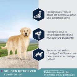 Eukanuba Adult Breed Specific Golden Retriever 12kg -Magasin De Mode Pour Animaux Et Chiens fre pl Eukanuba Adult Breed Specific Golden Retriever 12kg 15277 3