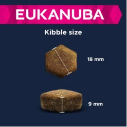 Eukanuba Adult Large Breed Agneau & Riz 12kg+ Surprise Gratuite Pour Votre Chien 9 Eukanuba Adult Large Breed Agneau & Riz 12kg+ Surprise Gratuite Pour Votre Chien -Magasin De Mode Pour Animaux Et Chiens fre pl Eukanuba Adult Large Breed Agneau Riz 12kg Surprise gratuite pour votre chien 27327 4