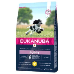 Eukanuba Puppy&Junior Medium Breed 15kg+Surprise Gratuite Pour Votre Chien 9 Eukanuba Puppy&Junior Medium Breed 15kg+Surprise Gratuite Pour Votre Chien -Magasin De Mode Pour Animaux Et Chiens fre pl Eukanuba Puppy Junior Medium Breed 15kg Surprise gratuite pour votre chien 27320 4
