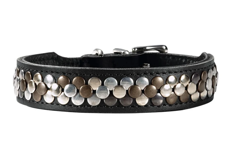 Hunter Arizona Collier Pour Chien En Cuir De Vachette Noir 37 Cm 1 Hunter Arizona Collier Pour Chien En Cuir De Vachette Noir 37 Cm