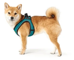 Hunter Hilo Comfort Harnais Pour Chien Turquoise Taille S -Magasin De Mode Pour Animaux Et Chiens fre pl Hunter Hilo Comfort Harnais pour chien Turquoise Taille S 16584 3