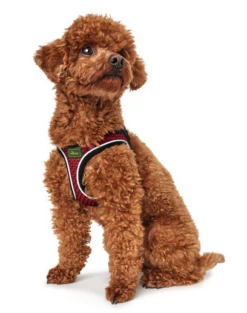 Hunter Hilo Comfort Harnais Pour Chien Rouge Taille M/L -Magasin De Mode Pour Animaux Et Chiens fre pl Hunter Hilo Comfort Harnais pour chien rouge Taille M L 12621 3
