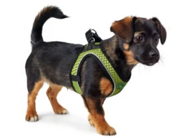 Hunter Hilo Comfort Harnais Pour Chien Vert Citron Taille M -Magasin De Mode Pour Animaux Et Chiens fre pl Hunter Hilo Comfort Harnais pour chien vert citron Taille M 16640 3