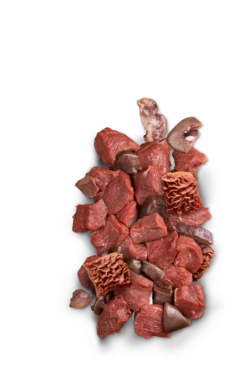 JOSERA Meatlovers Pure Bœuf 400g X6 -Magasin De Mode Pour Animaux Et Chiens fre pl JOSERA Meatlovers Pure Boeuf 400g x6 30113 3