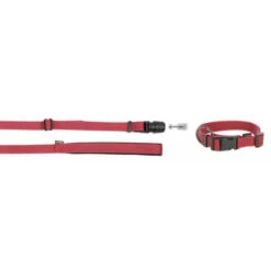 KERBL GoLeyGo 2.0 Ensemble Laisse + Collier Rouge Pour Chien 20mm X 40-65cm, M