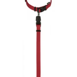 KERBL GoLeyGo 2.0 Ensemble Laisse + Collier Rouge Pour Chien 20mm X 40-65cm, M -Magasin De Mode Pour Animaux Et Chiens fre pl KERBL GoLeyGo 2 0 Ensemble laisse collier Rouge pour Chien 20mm x 40 65cm M 12878 3