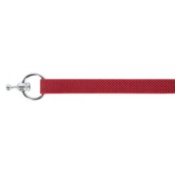 KERBL GoLeyGo 2.0 Ensemble Laisse + Collier Rouge Pour Chien 20mm X 40-65cm, M -Magasin De Mode Pour Animaux Et Chiens fre pl KERBL GoLeyGo 2 0 Ensemble laisse collier Rouge pour Chien 20mm x 40 65cm M 12878 4