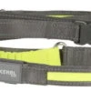 Dingo KERBL Laisse De Course Fluorescente Light & Reflex Jaune 250cm