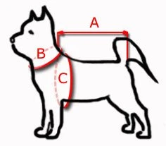 KERBL Sangle Et Harnais De Transport, 30-60 Cm 3 KERBL Sangle Et Harnais De Transport, 30-60 Cm – Image 3