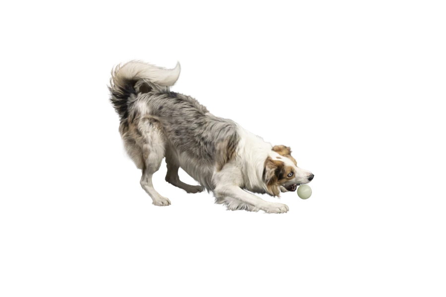 Kiwi Walker Let's Play GLOW BALL Maxi Balle 3 Kiwi Walker Let's Play GLOW BALL Maxi Balle – Image 3