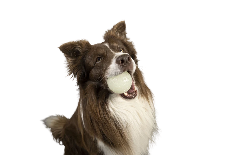 Kiwi Walker Let's Play GLOW BALL Maxi Balle 4 Kiwi Walker Let's Play GLOW BALL Maxi Balle – Image 4