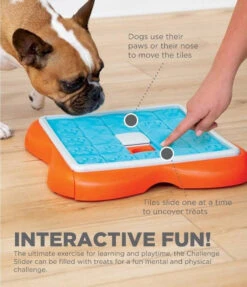 Nina Ottosson Dog Challenge Slider - Un Jeu Interactif Pour Les Chiens - Niveau 3. -Magasin De Mode Pour Animaux Et Chiens fre pl Nina Ottosson Dog Challenge Slider un jeu interactif pour les chiens niveau 3 25986 4