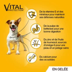 Pedigree Croquettes Humides En Gelée Pour Chiens Adultes Saveurs Variées (boeuf, Poulet, Agneau, Volaille) 40x100g -Magasin De Mode Pour Animaux Et Chiens fre pl Pedigree Croquettes humides en gelee pour chiens adultes Saveurs variees boeuf poulet agneau volaille 40x100g 10101 3
