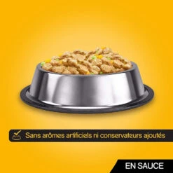 Pedigree Croquettes Pour Chiens Adultes Au Poulet, Au Bœuf, à La Dinde Et à L'agneau 12x100g -Magasin De Mode Pour Animaux Et Chiens fre pl Pedigree Croquettes pour chiens adultes au poulet au boeuf a la dinde et a lagneau 12x100g 9892 6