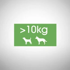 Perfect Fit™ - Aliment Complet Sec Pour Chiens Adultes De Moyennes Et Grandes Races, Riche En Poulet 6kg. 7 Perfect Fit™ - Aliment Complet Sec Pour Chiens Adultes De Moyennes Et Grandes Races, Riche En Poulet 6kg. -Magasin De Mode Pour Animaux Et Chiens fre pl Perfect Fit TM aliment complet sec pour chiens adultes de moyennes et grandes races riche en poulet 6kg 26909 3