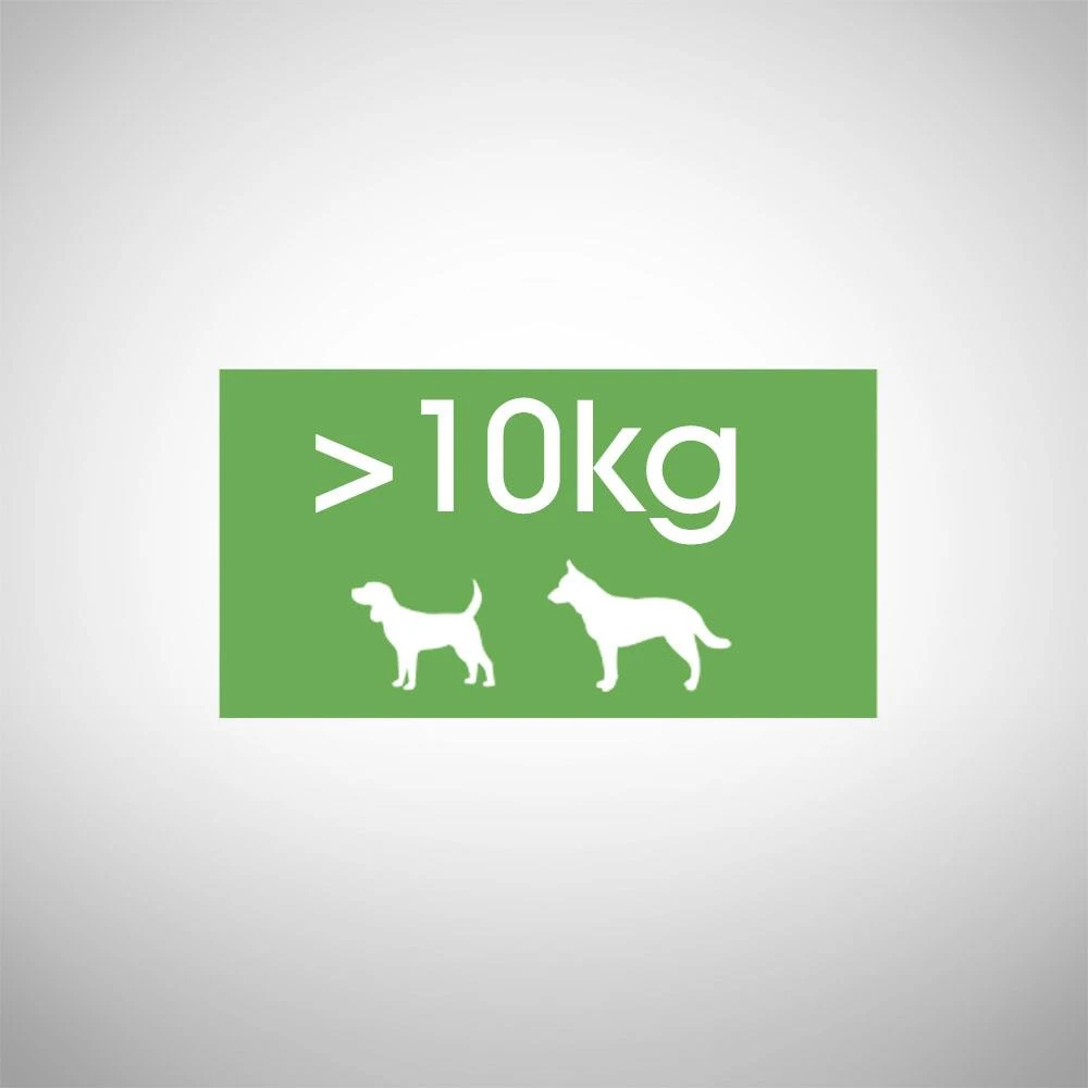 Perfect Fit™ - Aliment Complet Sec Pour Chiens Adultes De Moyennes Et Grandes Races, Riche En Poulet 6kg. 3 Perfect Fit™ - Aliment Complet Sec Pour Chiens Adultes De Moyennes Et Grandes Races, Riche En Poulet 6kg. – Image 3