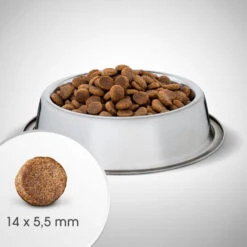 Perfect Fit™ - Aliment Complet Sec Pour Chiens Adultes De Moyennes Et Grandes Races, Riche En Poulet 6kg. 8 Perfect Fit™ - Aliment Complet Sec Pour Chiens Adultes De Moyennes Et Grandes Races, Riche En Poulet 6kg. -Magasin De Mode Pour Animaux Et Chiens fre pl Perfect Fit TM aliment complet sec pour chiens adultes de moyennes et grandes races riche en poulet 6kg 26909 4