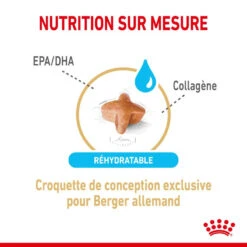 ROYAL CANIN Berger Allemand Adult 5+ 3kg -Magasin De Mode Pour Animaux Et Chiens fre pl ROYAL CANIN Berger Allemand Adult 5 3kg 12524 3