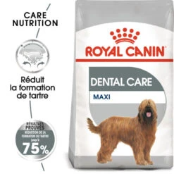 ROYAL CANIN CCN Maxi Dental Care 3kg + ORIJEN Original Chien 340g GRATUIT -Magasin De Mode Pour Animaux Et Chiens fre pl ROYAL CANIN CCN Maxi Dental Care 3kg ORIJEN Original Chien 340g GRATUIT 30803 1