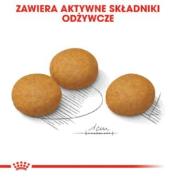 ROYAL CANIN CCN Maxi Dermacomfort 12kg Croquettes Pour Chiens Adultes, Grandes Races, à La Peau Sensible Et Sujette Aux Irritations. -Magasin De Mode Pour Animaux Et Chiens fre pl ROYAL CANIN CCN Maxi Dermacomfort 12kg croquettes pour chiens adultes grandes races a la peau sensible et sujette aux irritations 25933 5
