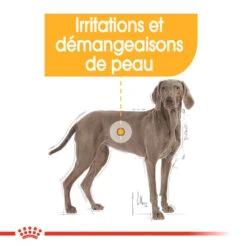 ROYAL CANIN CCN Maxi Dermacomfort 3kg -Magasin De Mode Pour Animaux Et Chiens fre pl ROYAL CANIN CCN Maxi Dermacomfort 3kg 16272 7