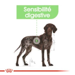 ROYAL CANIN CCN Maxi Digestive Care 3kg -Magasin De Mode Pour Animaux Et Chiens fre pl ROYAL CANIN CCN Maxi Digestive Care 3kg 10070 7