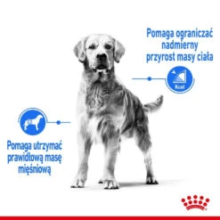 ROYAL CANIN CCN Maxi Light Weight Care 12kg -Magasin De Mode Pour Animaux Et Chiens fre pl ROYAL CANIN CCN Maxi Light Weight Care 12kg 25857 4