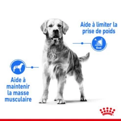 ROYAL CANIN CCN Medium Light Weight Care 3kg -Magasin De Mode Pour Animaux Et Chiens fre pl ROYAL CANIN CCN Medium Light Weight Care 3kg 10066 3