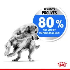 ROYAL CANIN CCN Medium Light Weight Care 3kg -Magasin De Mode Pour Animaux Et Chiens fre pl ROYAL CANIN CCN Medium Light Weight Care 3kg 10066 5