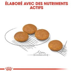 ROYAL CANIN CCN Mini Dermacomfort 1kg -Magasin De Mode Pour Animaux Et Chiens fre pl ROYAL CANIN CCN Mini Dermacomfort 1kg 16285 3