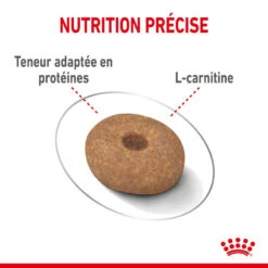 ROYAL CANIN CCN Mini Light Weight Care 8kg -Magasin De Mode Pour Animaux Et Chiens fre pl ROYAL CANIN CCN Mini Light Weight Care 8kg 10067 6