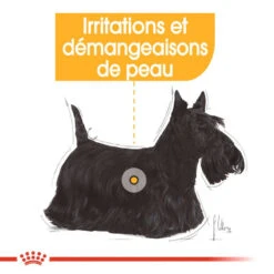 ROYAL CANIN Dermacomfort Pâté 12x85g -Magasin De Mode Pour Animaux Et Chiens fre pl ROYAL CANIN Dermacomfort Pate 12x85g 10092 4